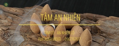 THỬ NGHIỆM VÀ CÔNG BỐ SẢN PHẨM
